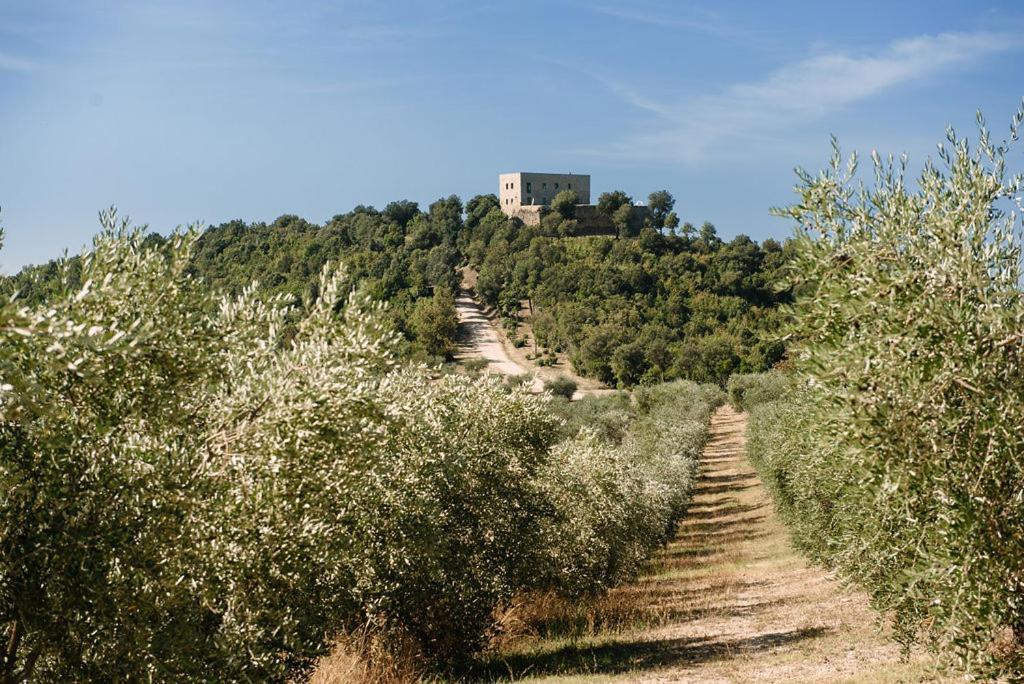 Tenuta Di Forte Sorgnano Gualdo Cattaneo Εξωτερικό φωτογραφία